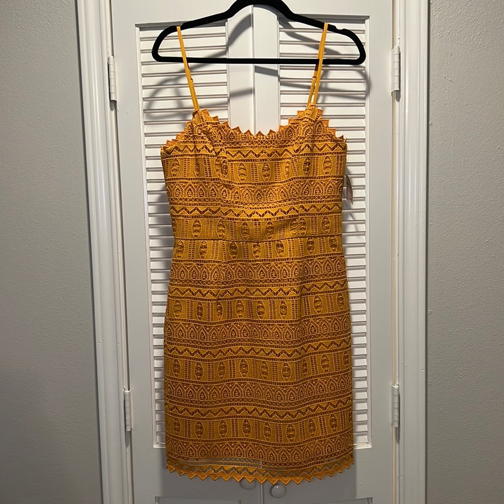 NWT Dress the Population mini dress